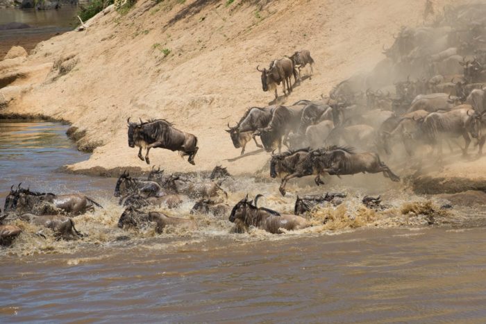 WhatsApp Image 2022-06-12 at 11.42.04 PM Kenya 1