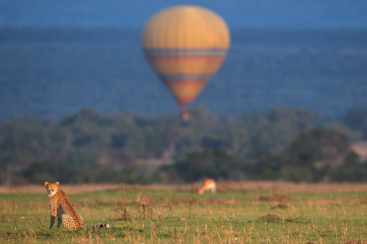 Kenya Masai Mara