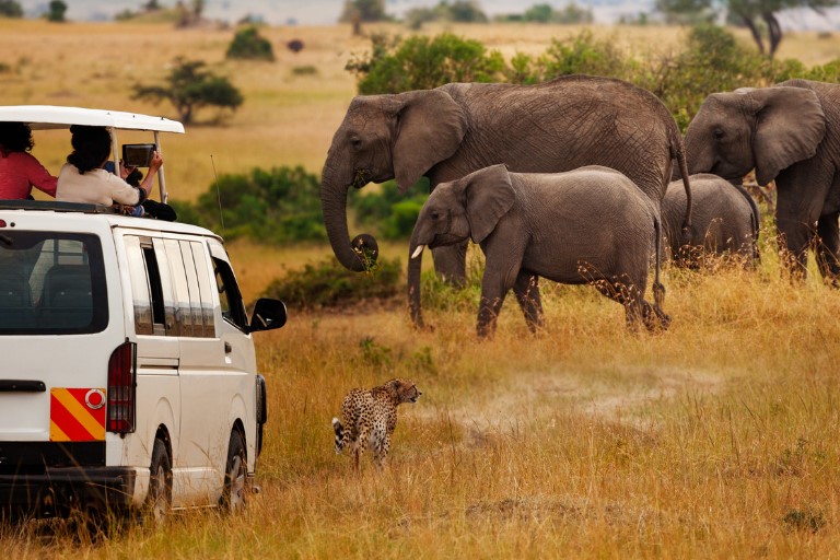 Day 2 Full Day at Maasai Mara