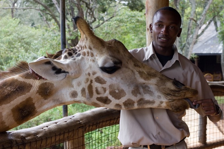 Giraffe Centre