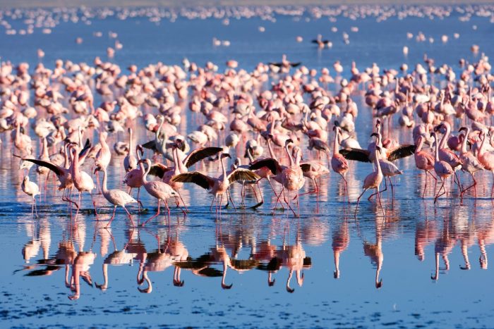 Lake Nakuru Lake Nakuru