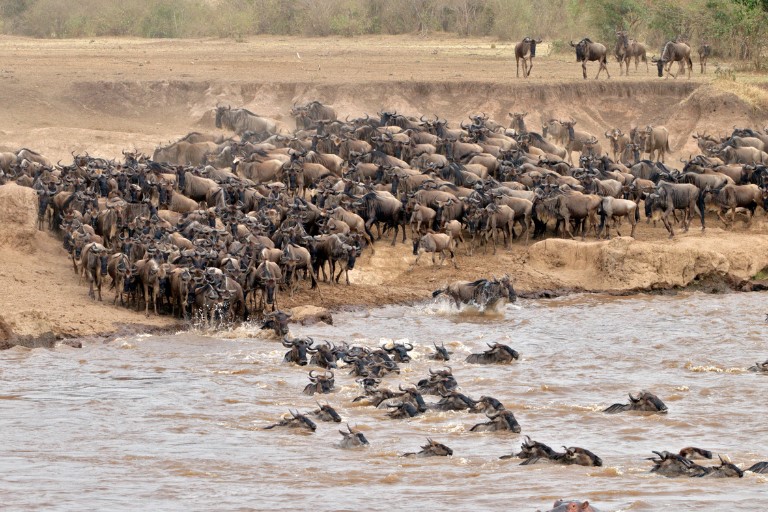 Mara River