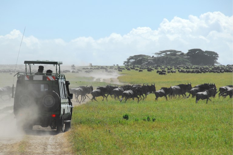 Maasai Mara