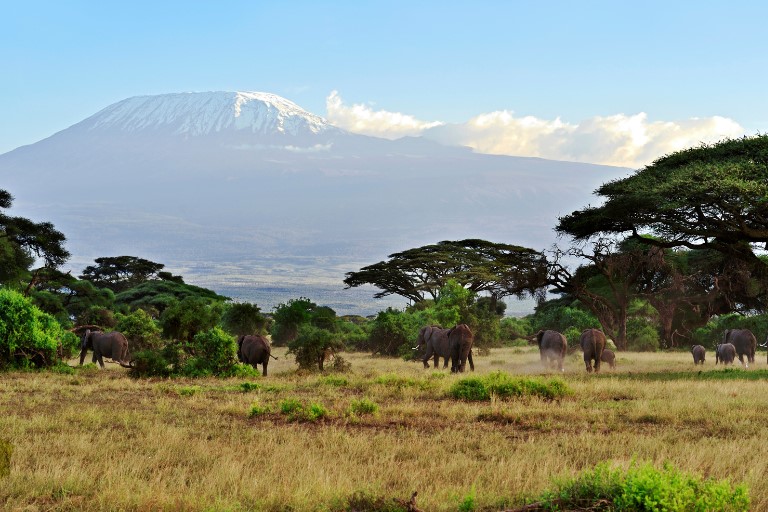 Amboseli National Park