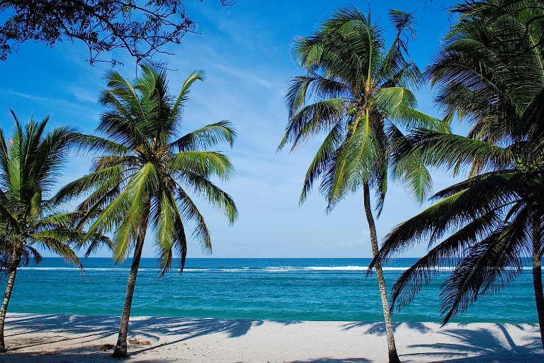Malindi Beach