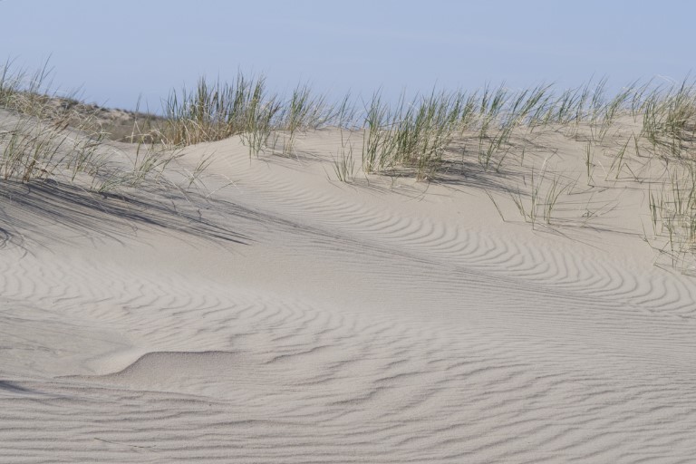 Mambrui Sand Dunes
