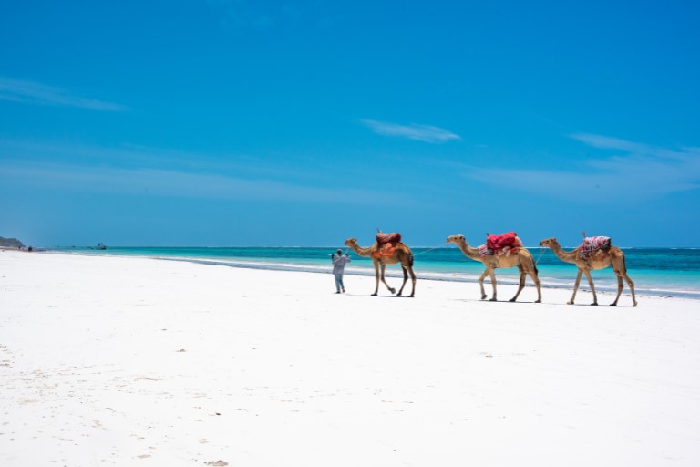 Diani Beach