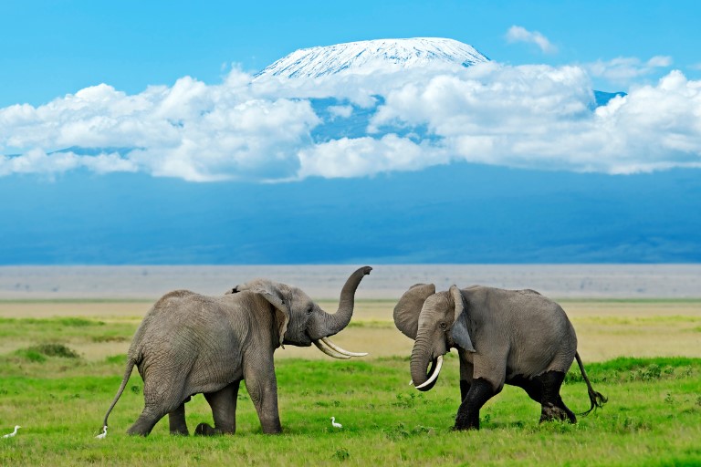 Amboseli National Park
