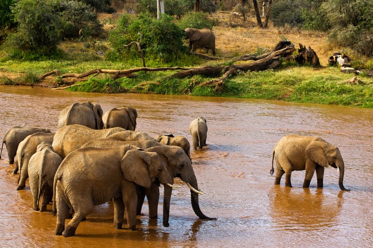 Ewaso Nyiro River