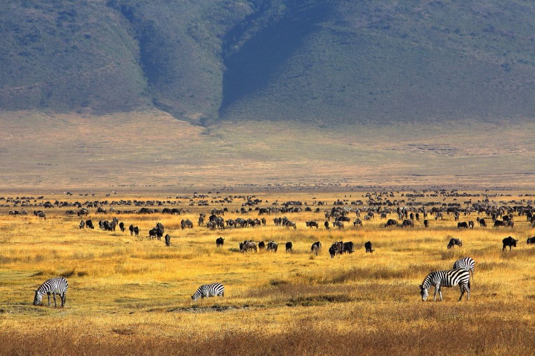 Ngorongoro Crater