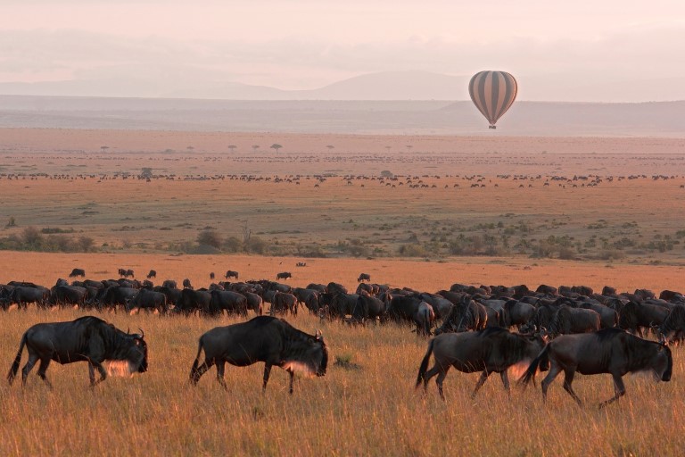 Masai Mara