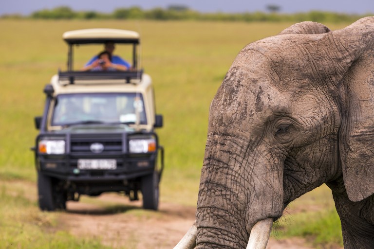 Masai Mara