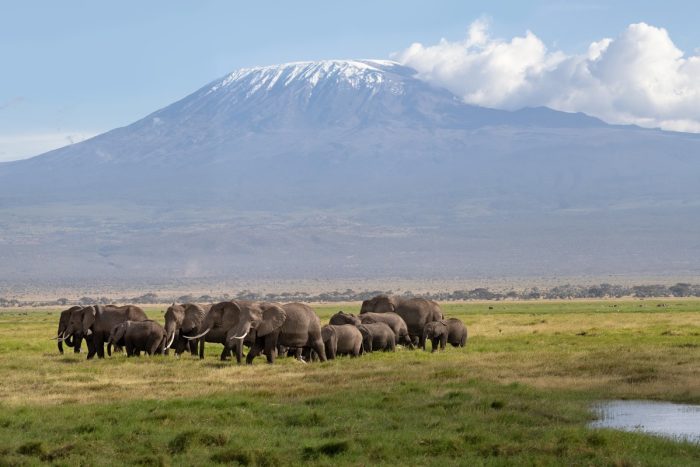 Amboseli Inside Featured Amboseli National Park