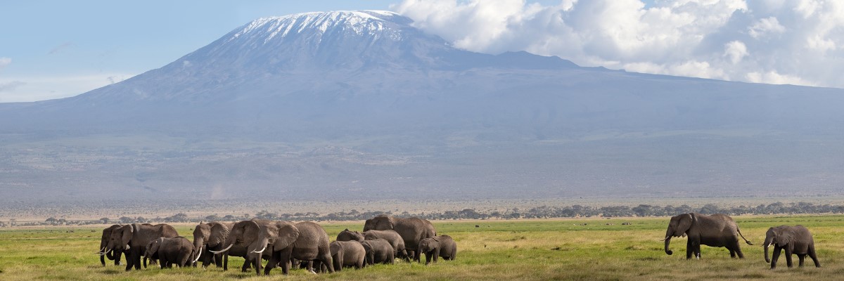 Amboseli National Park Amboseli National Park