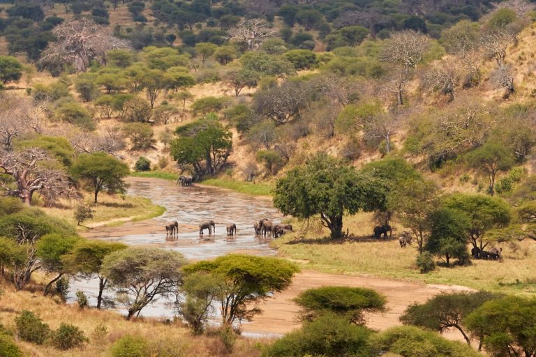 Tarangire, Tanzania