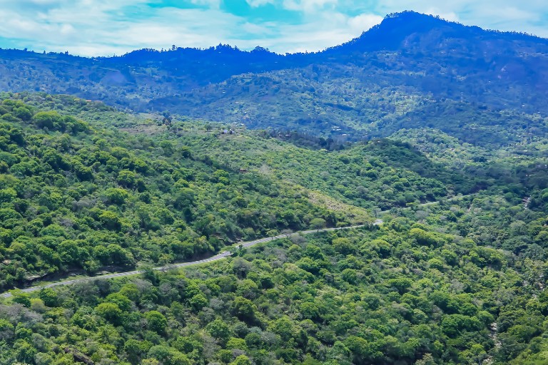 Taita Taveta Hills